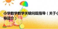 小學數學教學關鍵問題指導(關于小學數學教學關鍵問題指導簡介)