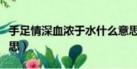 手足情深血濃于水什么意思(血濃于水什么意思)
