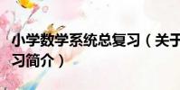 小學數學系統總復習(關于小學數學系統總復習簡介)