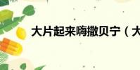大片起來嗨撒貝寧(大片起來嗨)