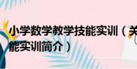小學數學教學技能實訓(關于小學數學教學技能實訓簡介)