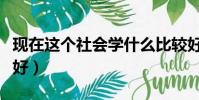 現在這個社會學什么比較好(現在社會學什么好)