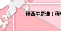 程西牛是誰(程牛兒)