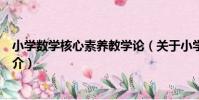小學數學核心素養教學論(關于小學數學核心素養教學論簡介)