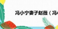 馮小寧妻子趙薇(馮小寧妻子)