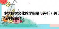 小學數學文化教學實錄與評析(關于小學數學文化教學實錄與評析簡介)