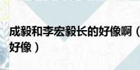 成毅和李宏毅長的好像啊(成毅和李宏毅長的好像)