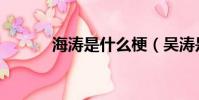海濤是什么梗(吳濤是什么梗)