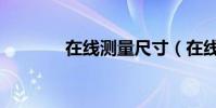 在線測量尺寸(在線測量尺)