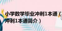 小學數學畢業沖刺1本通(關于小學數學畢業沖刺1本通簡介)