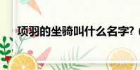 項羽的坐騎叫什么名字?(項羽的坐騎)