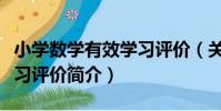 小學數學有效學習評價(關于小學數學有效學習評價簡介)