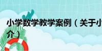 小學數學教學案例(關于小學數學教學案例簡介)