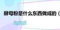 酵母粉是什么東西做成的(酵母粉是什么)