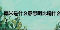 厚米是什么意思啊比喻什么(厚米是什么意思)