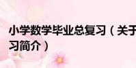 小學數學畢業總復習(關于小學數學畢業總復習簡介)