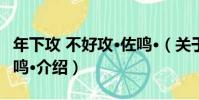 年下攻 不好攻·佐鳴·(關于年下攻 不好攻·佐鳴·介紹)
