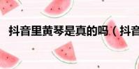 抖音里黃琴是真的嗎(抖音黃琴真實情況)