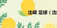 沈嶸 足球(沈嶸)