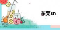 東莞sn