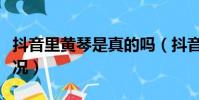 抖音里黃琴是真的嗎(抖音網紅黃琴的真實情況)
