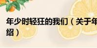 年少時輕狂的我們(關于年少時輕狂的我們介紹)