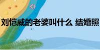 劉愷威的老婆叫什么 結婚照(劉愷威的老婆)