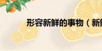 形容新鮮的事物(新鮮的事物)