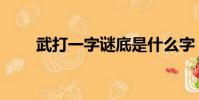 武打一字謎底是什么字(武打一字)