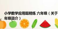 小學數學應用題精練 六年級(關于小學數學應用題精練 六年級簡介)