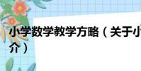 小學數學教學方略(關于小學數學教學方略簡介)