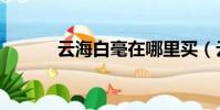云海白毫在哪里買(云海白毫)