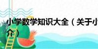 小學數學知識大全(關于小學數學知識大全簡介)