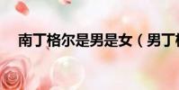 南丁格爾是男是女(男丁格爾什么意思)