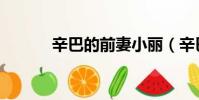 辛巴的前妻小麗(辛巴的前妻)