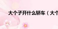 大個子開什么轎車(大個子開什么車)