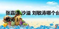 張嘉譯 沙溢 劉敏濤哪個臺(張嘉譯 沙溢 劉敏濤)