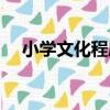 小學文化程度（關于小學文化程度簡介）