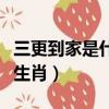 三更到家是什么生肖和動物（三更到家是什么生肖）
