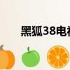 黑狐38電視劇全集劇情介紹（黑狐3）