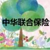 中華聯合保險公司車險（中華聯合保險公司）
