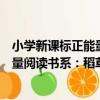 小學新課標正能量閱讀書系：稻草人（關于小學新課標正能量閱讀書系：稻草人簡介）