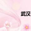 武漢開鎖電話（武漢開鎖）