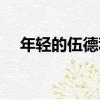 年輕的伍德利（關于年輕的伍德利介紹）