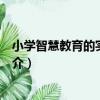 小學智慧教育的實踐探索（關于小學智慧教育的實踐探索簡介）