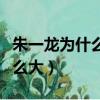 朱一龍為什么那么多人喜歡（朱一龍為什么那么大）