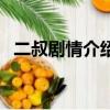 二叔劇情介紹結局是什么（二叔劇情介紹）