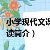 小學現代文課外閱讀（關于小學現代文課外閱讀簡介）