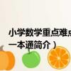 小學數學重點難點考點一本通（關于小學數學重點難點考點一本通簡介）