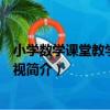小學數學課堂教學案例透視（關于小學數學課堂教學案例透視簡介）